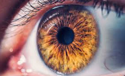 Retina Care